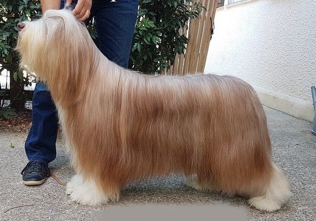 Publication : des Emeraudes du Lac Auteur : Ponthus