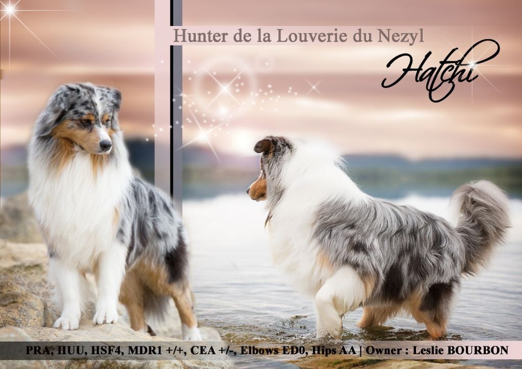 Hunter De La Louverie Du Nezyl