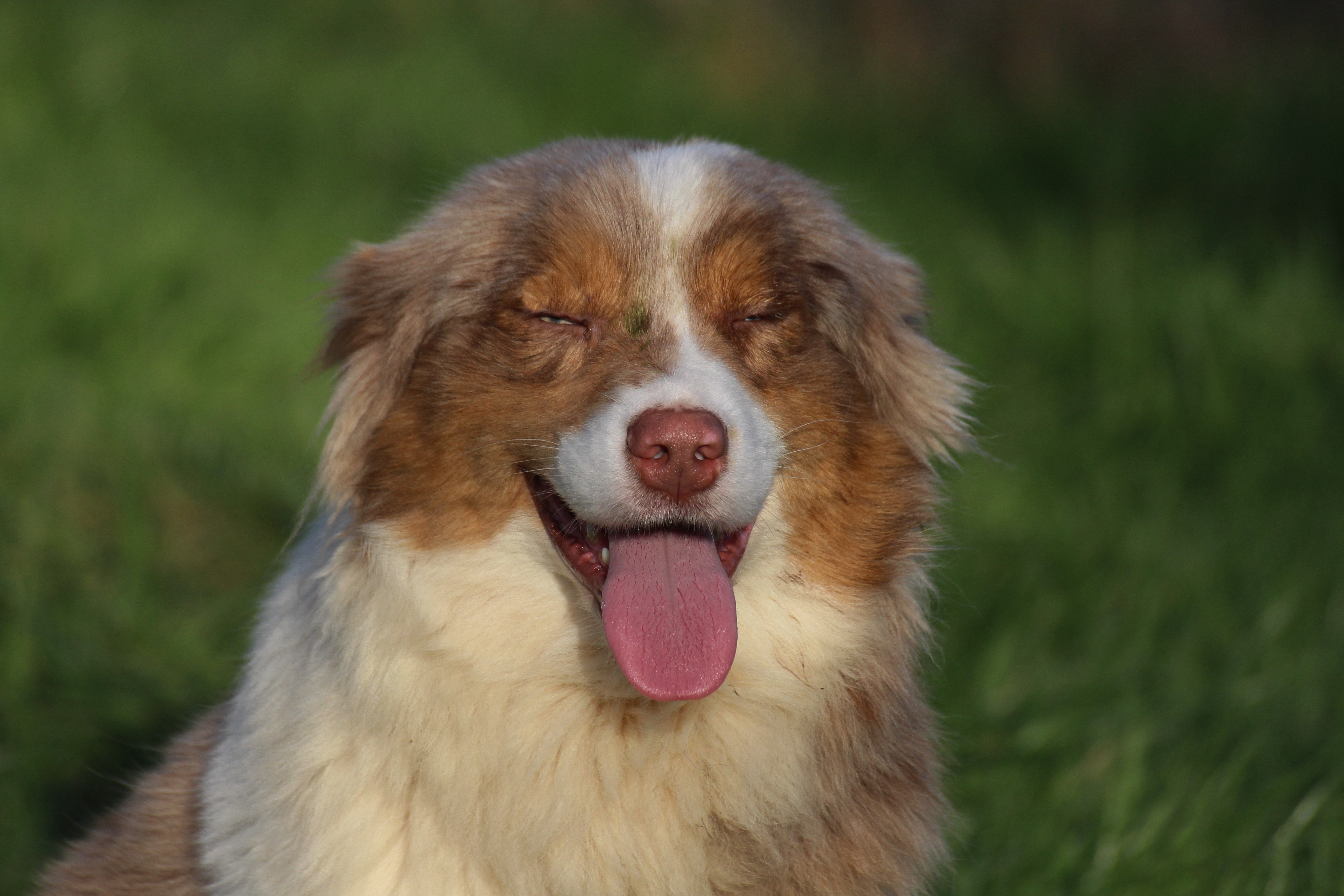 Publication : des Gardiens d'Hadès Auteur : isabelle hebert
