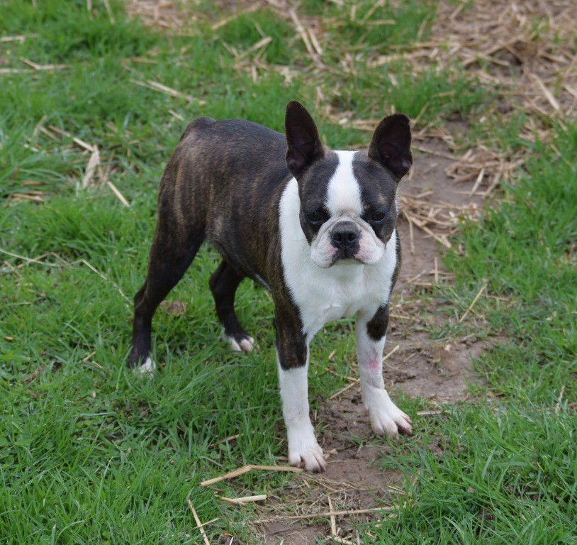 Publication : De La Grange Enchantée