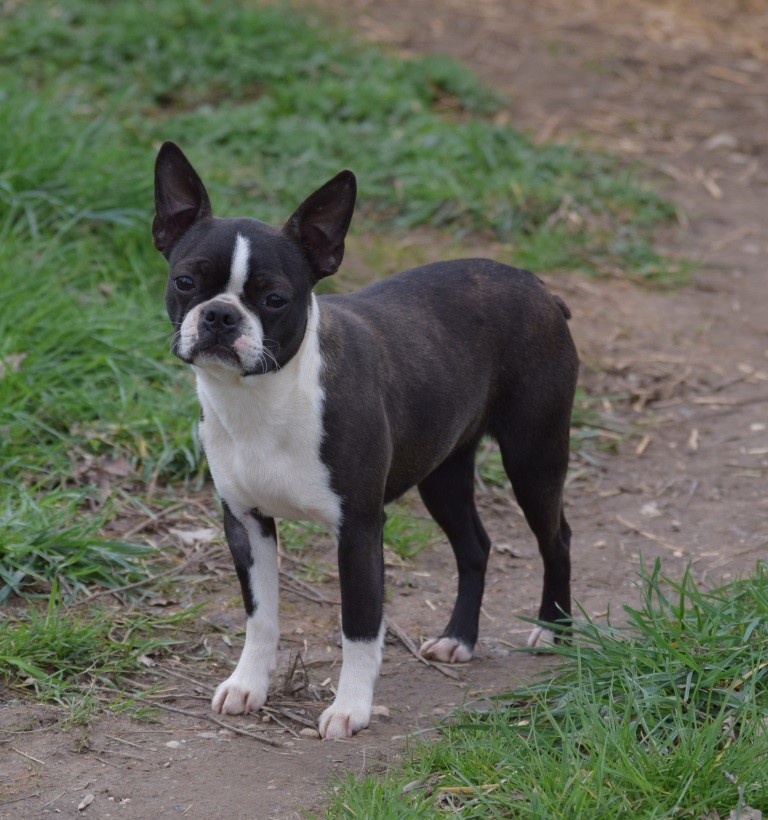 Only love mady De La Grange Enchantée