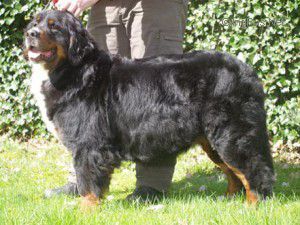 Zeni nora Van't rijkenspark