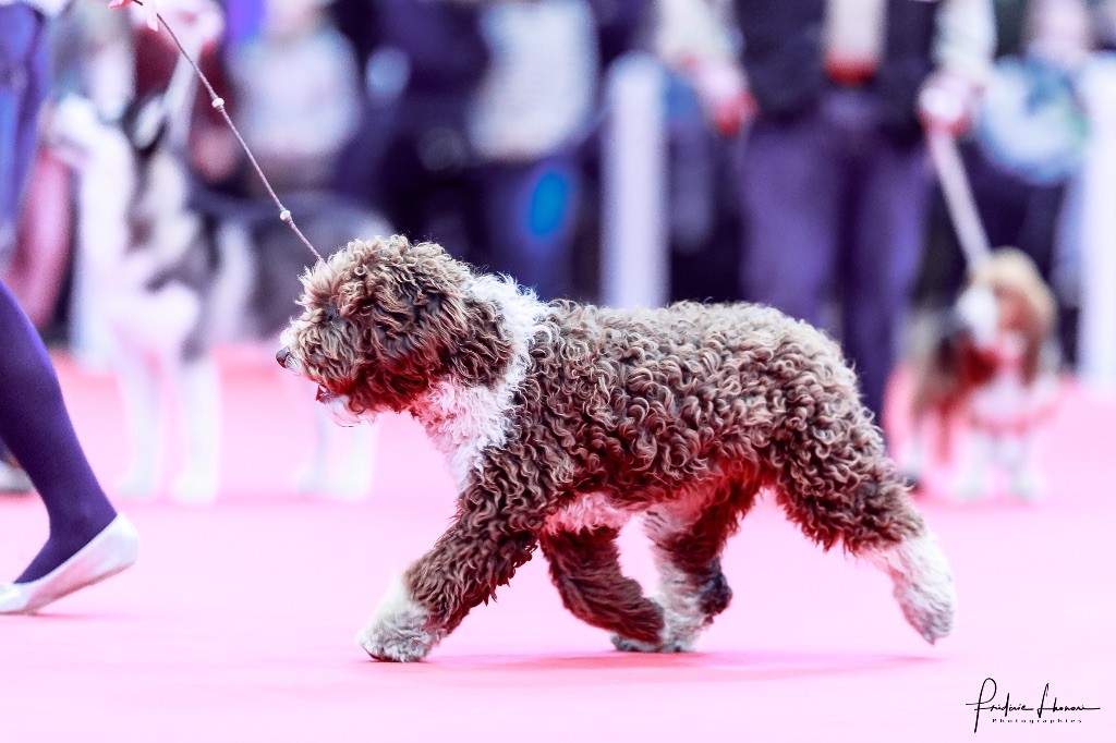 Publication : Daouphars 