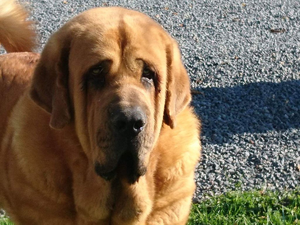 Publication : Des sources sacrees