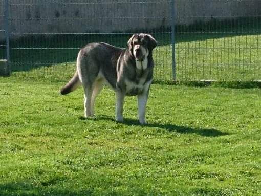 Publication : Des sources sacrees 