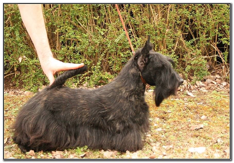 Publication : Gabéric's Auteur : Dr Benoit LEBLANC