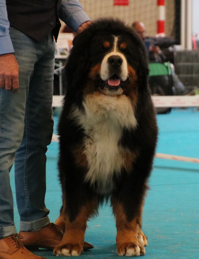 Publication : de la tremblaie téchonière