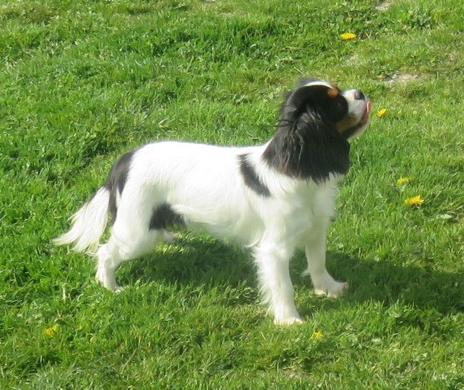 Publication : de la maison du ryez 