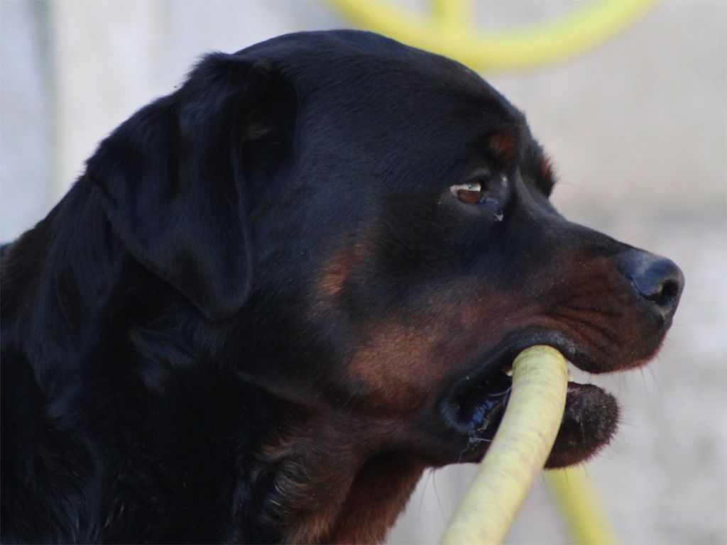 Publication : van saxbartt Auteur : Eric PLANTE