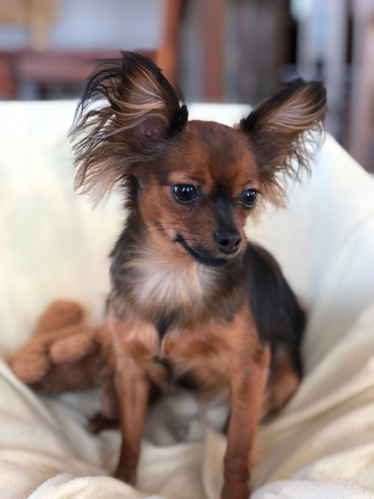 Publication : Joeberger Auteur : johanne Bergeron