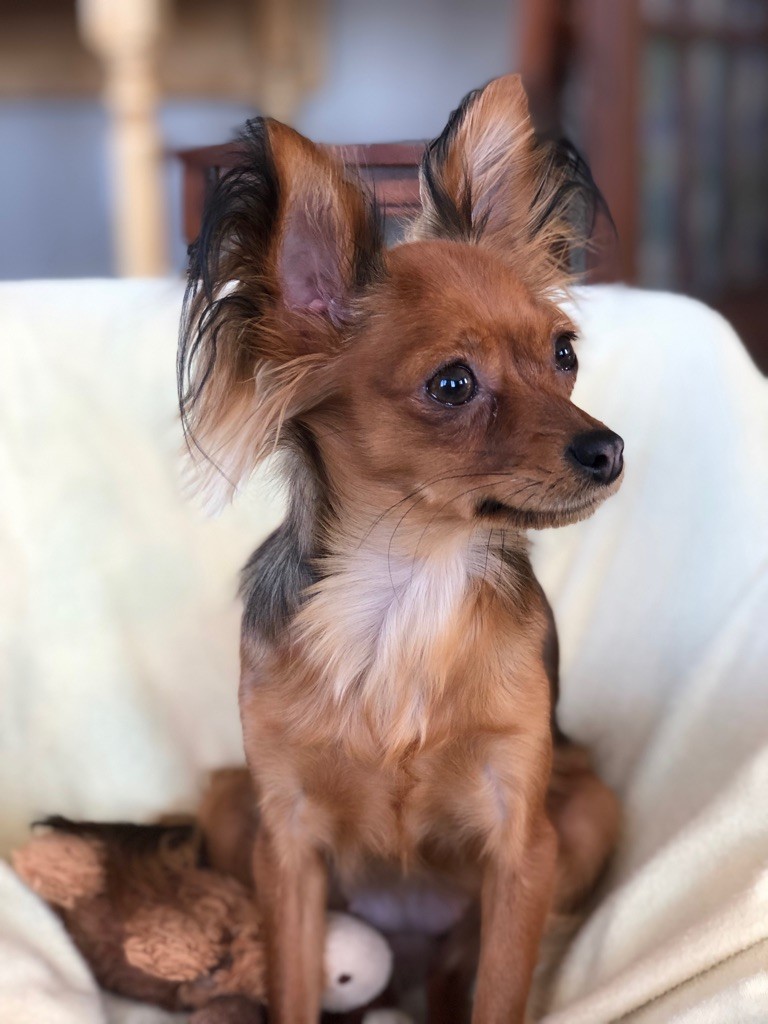 Publication : Joeberger Auteur : Johanne Bergeron