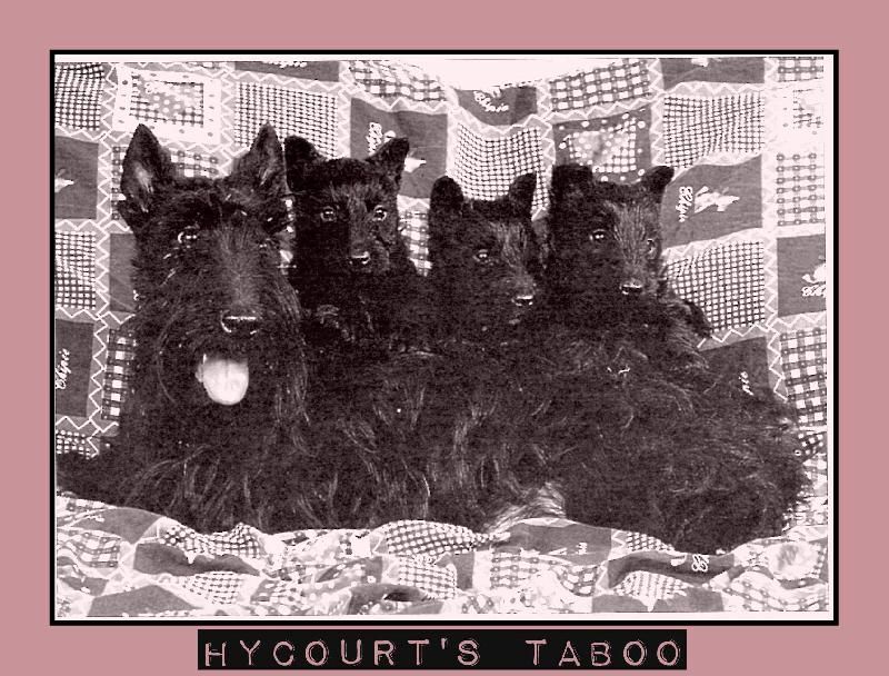 Hycourt's Taboo