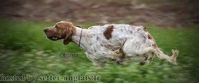 CH. Obama (Sans Affixe)