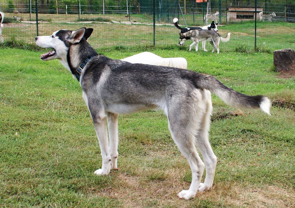 Publication : Uron's Auteur : RIFF E