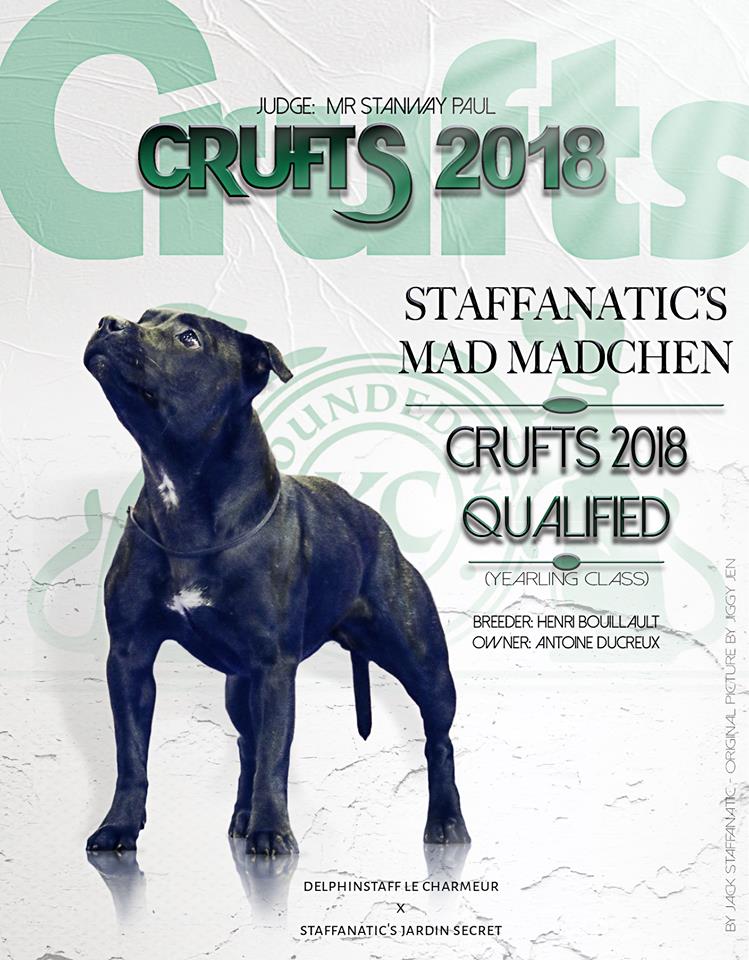 Publication : Staffanatic's Auteur : Jiggy Jen