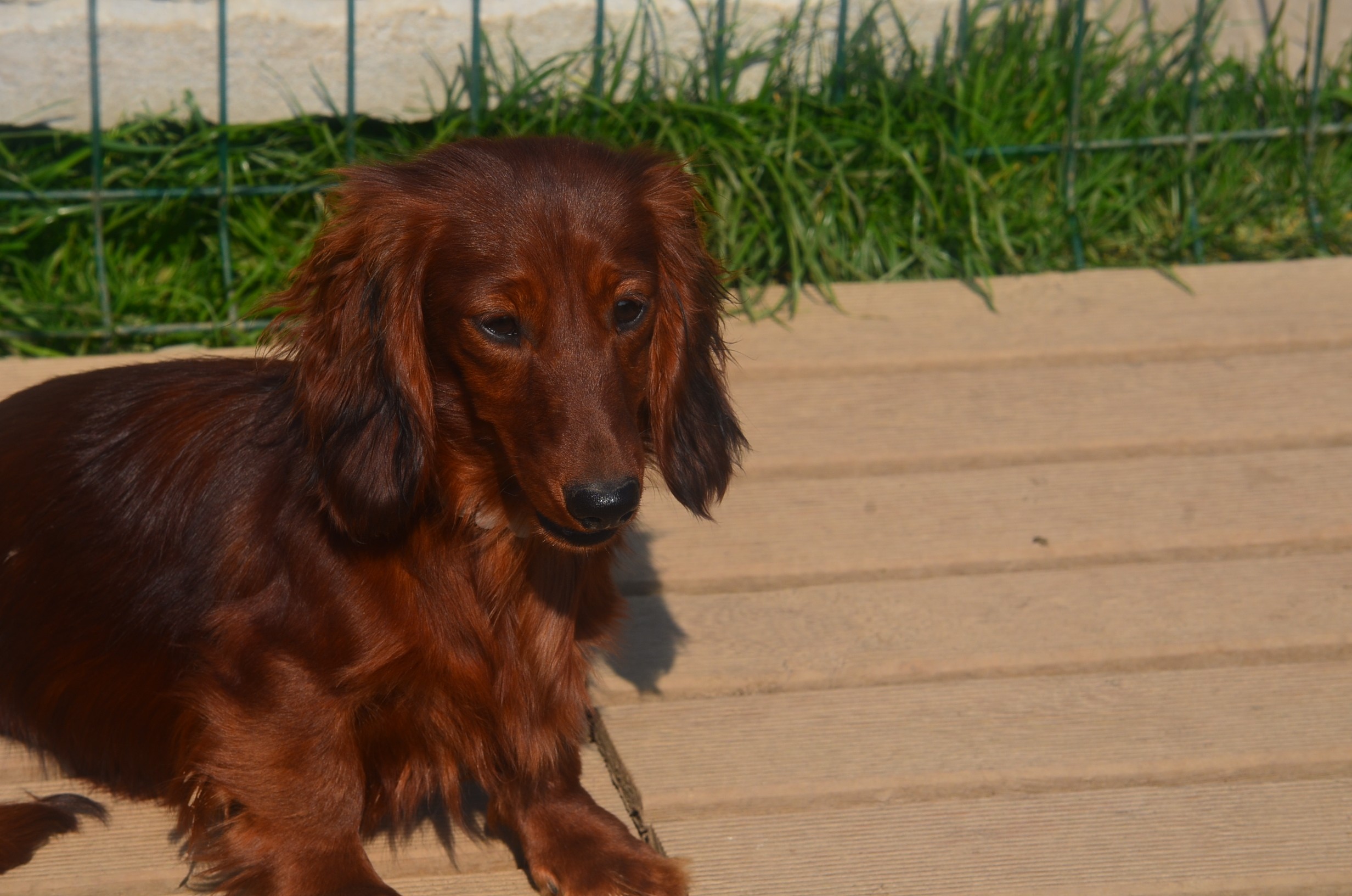 Publication : Du Clos Des Bords De Mer Auteur : PIERRETTE QUESNE