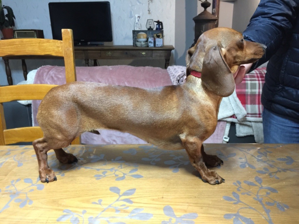 Publication : du Mistral Le Vent 