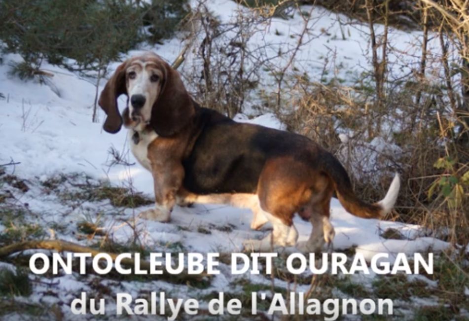 Ontocleube dit ouragan du Rallye de L'Allagnon