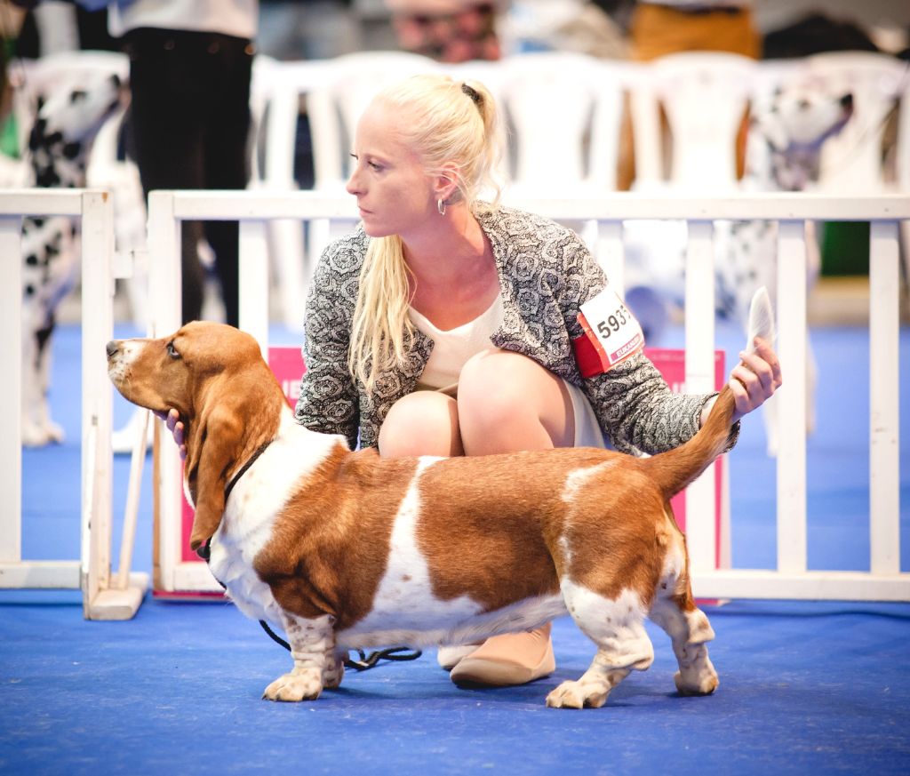 Lola De La Flamme Sacrée D'Hestia