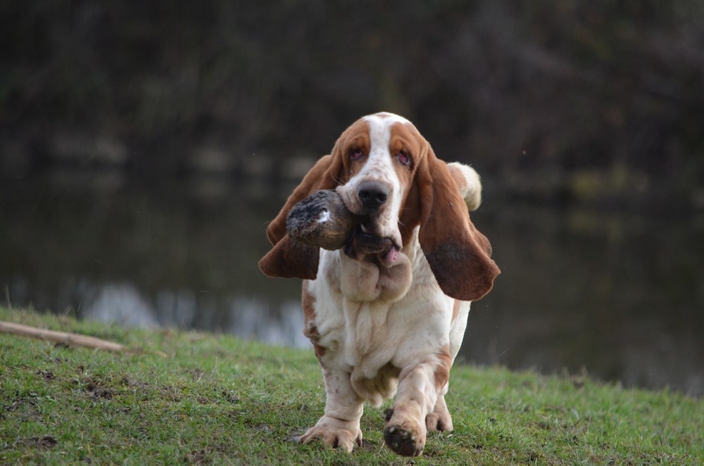 Publication : Des sources sacrees 