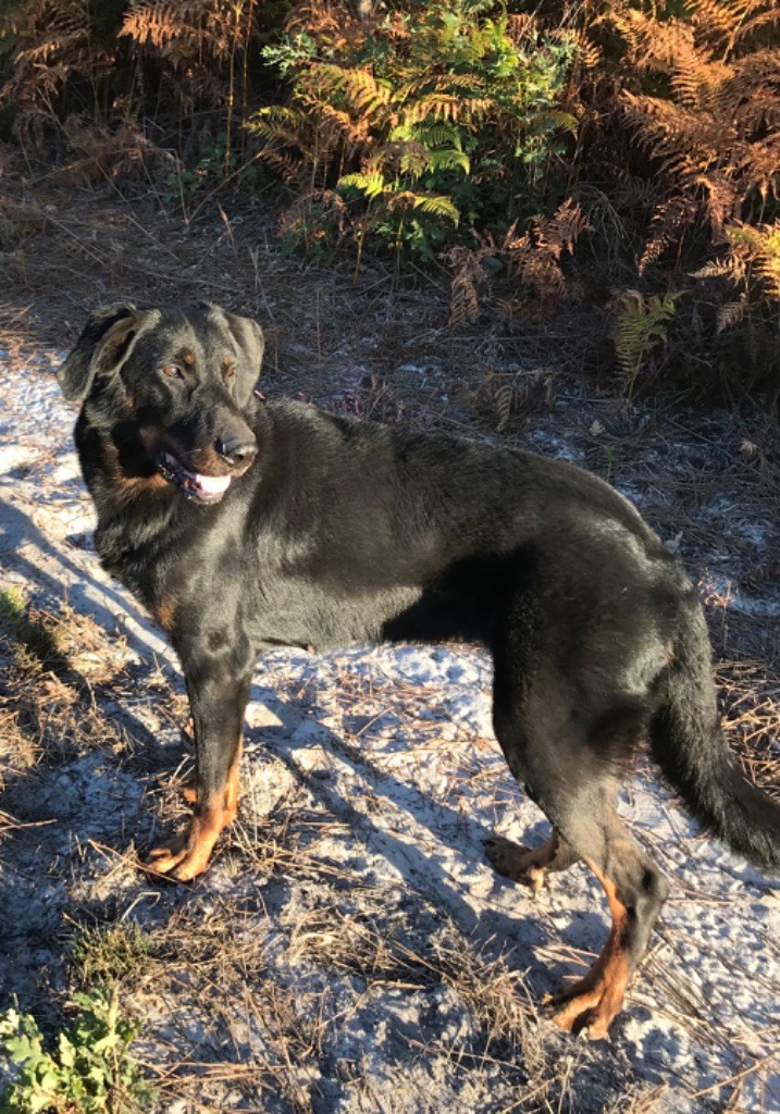 Izy du sentier des savanes