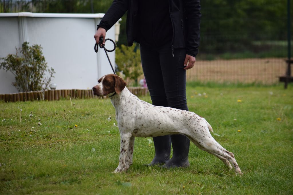 Publication : du Val d'Ondaine Auteur : C.CHABANIS