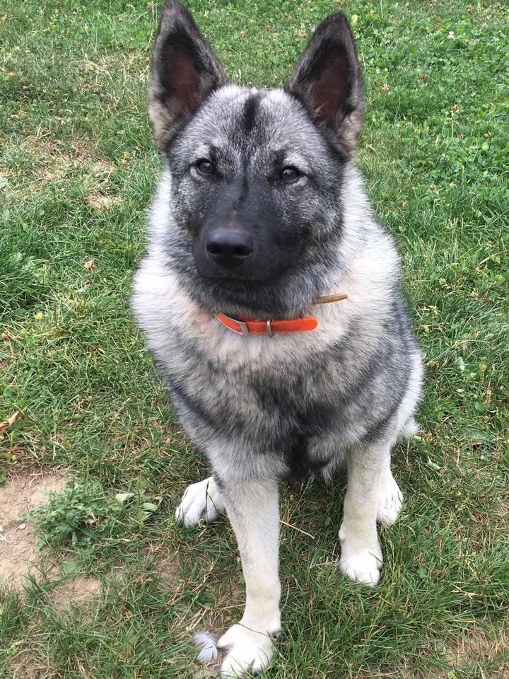 Publication : du Haut Vercors 