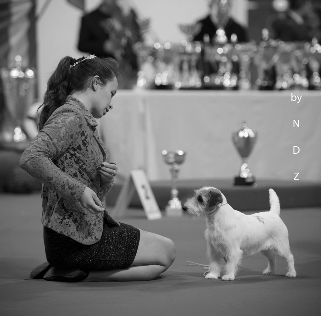 CH. Enfin touchstar Des genies de la toile