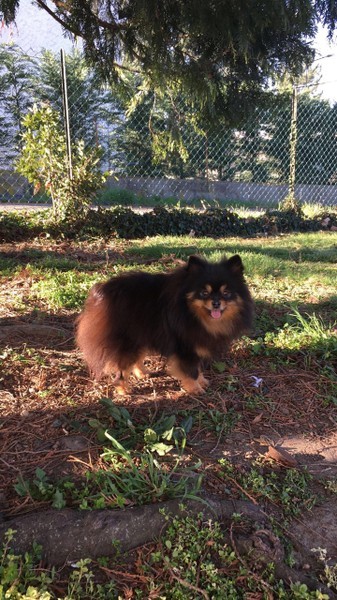  Auteur : isabelle quiblier