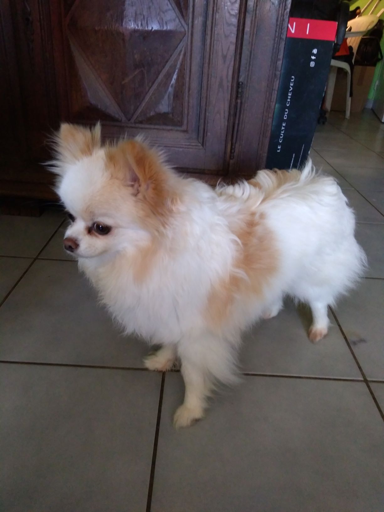  Auteur : des lys blanches