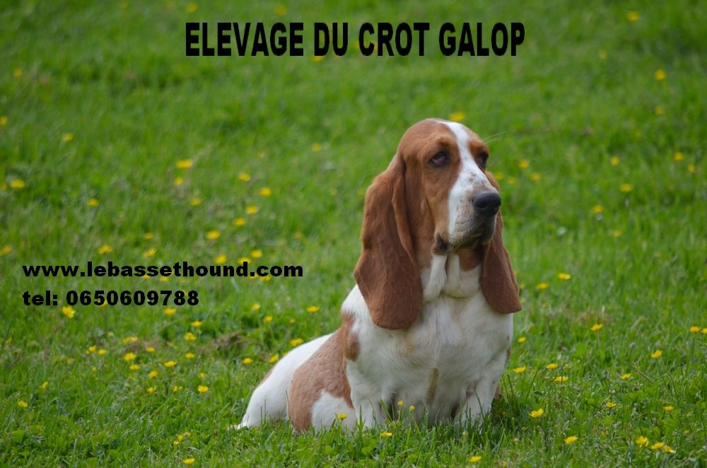 Publication : Des sources sacrees