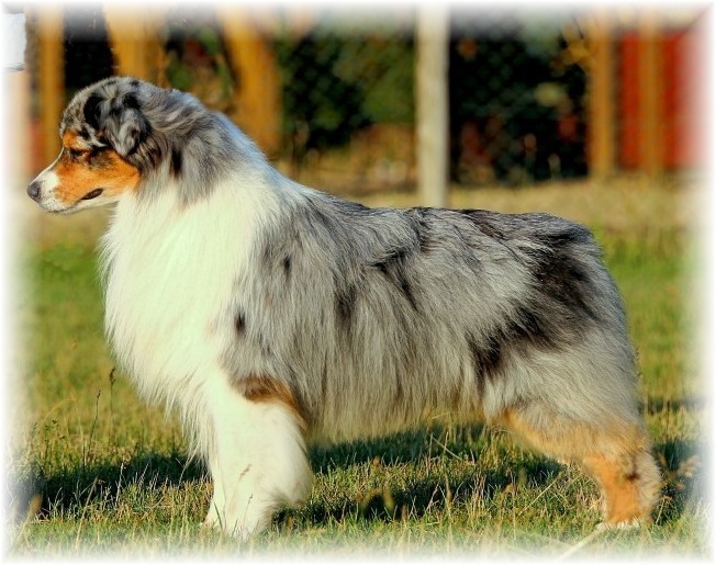 Publication : Made By Patchwork 