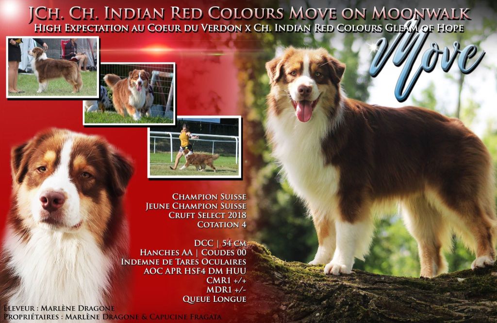 CH. Indian Red Colours Move on the moonwalk