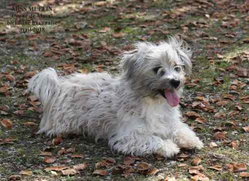 Publication : Coeur De Masai Auteur : marianne SEPTIER GARREAU