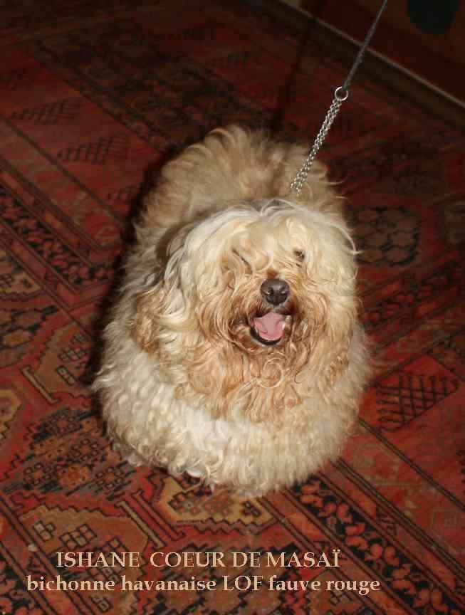 Publication : Coeur De Masai Auteur : marianne septier