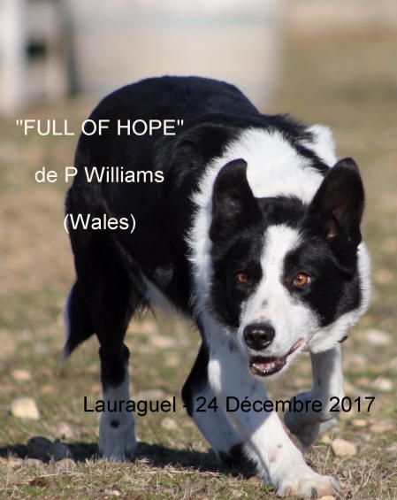 Full of hope (Sans Affixe)