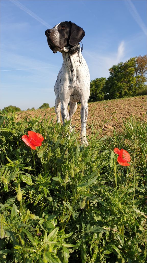 Publication : du ruisseau de Montbrun