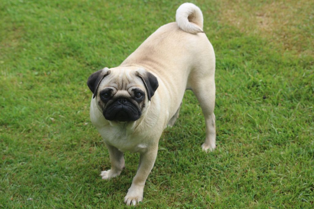 Only Du Clan Des Sel