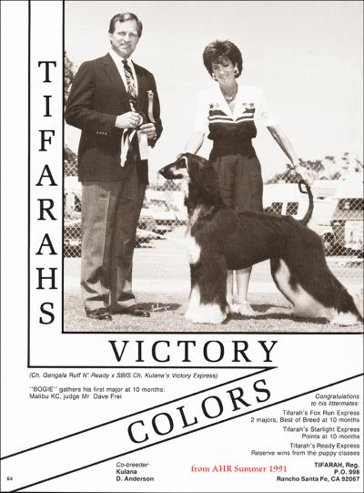 CH. tifarah's Victory colors