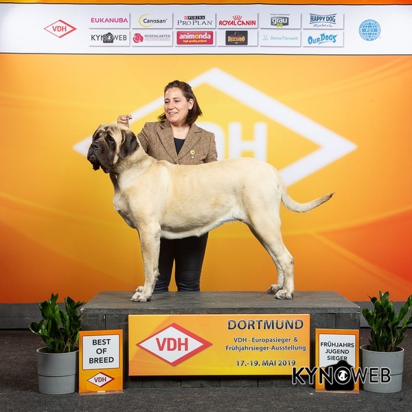 Publication : von der Villa Graf 