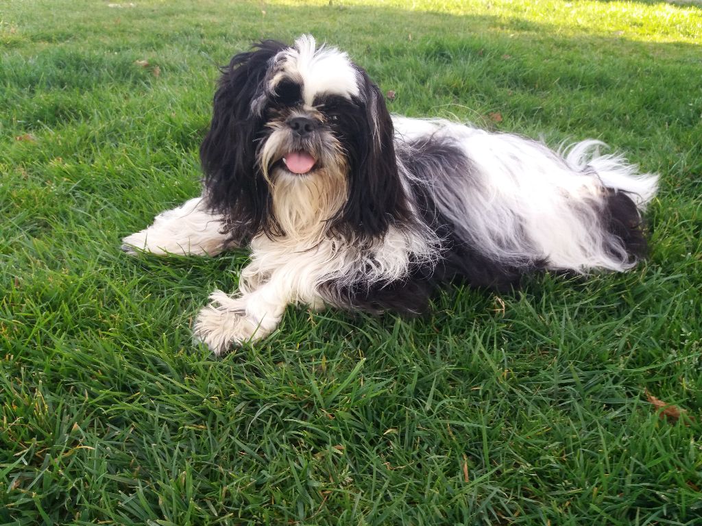 Publication : Domaine le Pin Franc