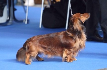 Publication : Du cap des embruns Auteur : Galle