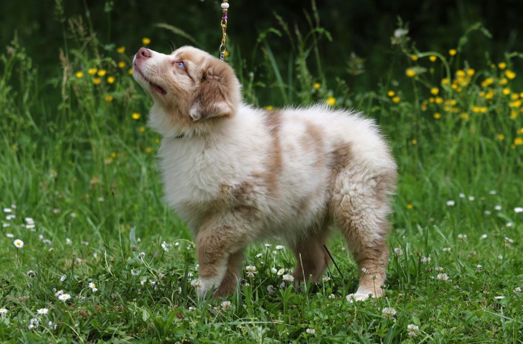 Publication : La Team D'élusa