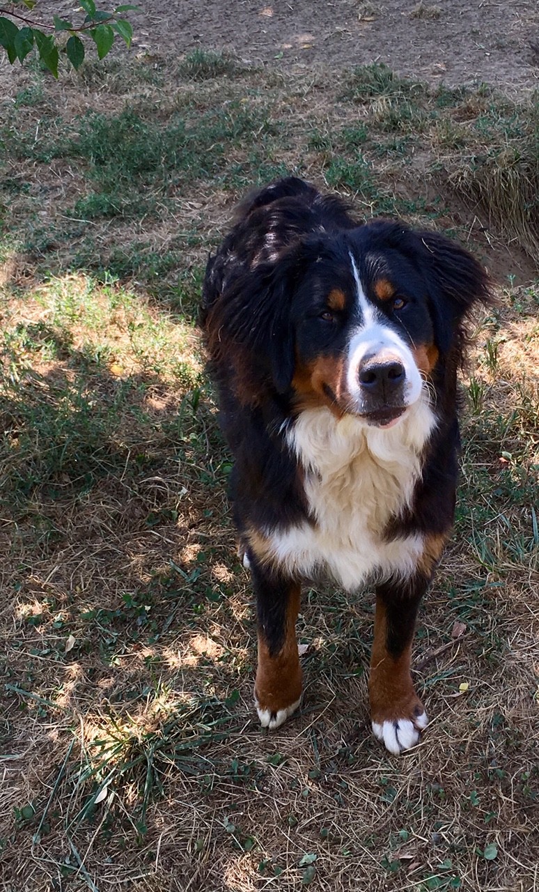 Publication : Du Domaine De Bakadit 