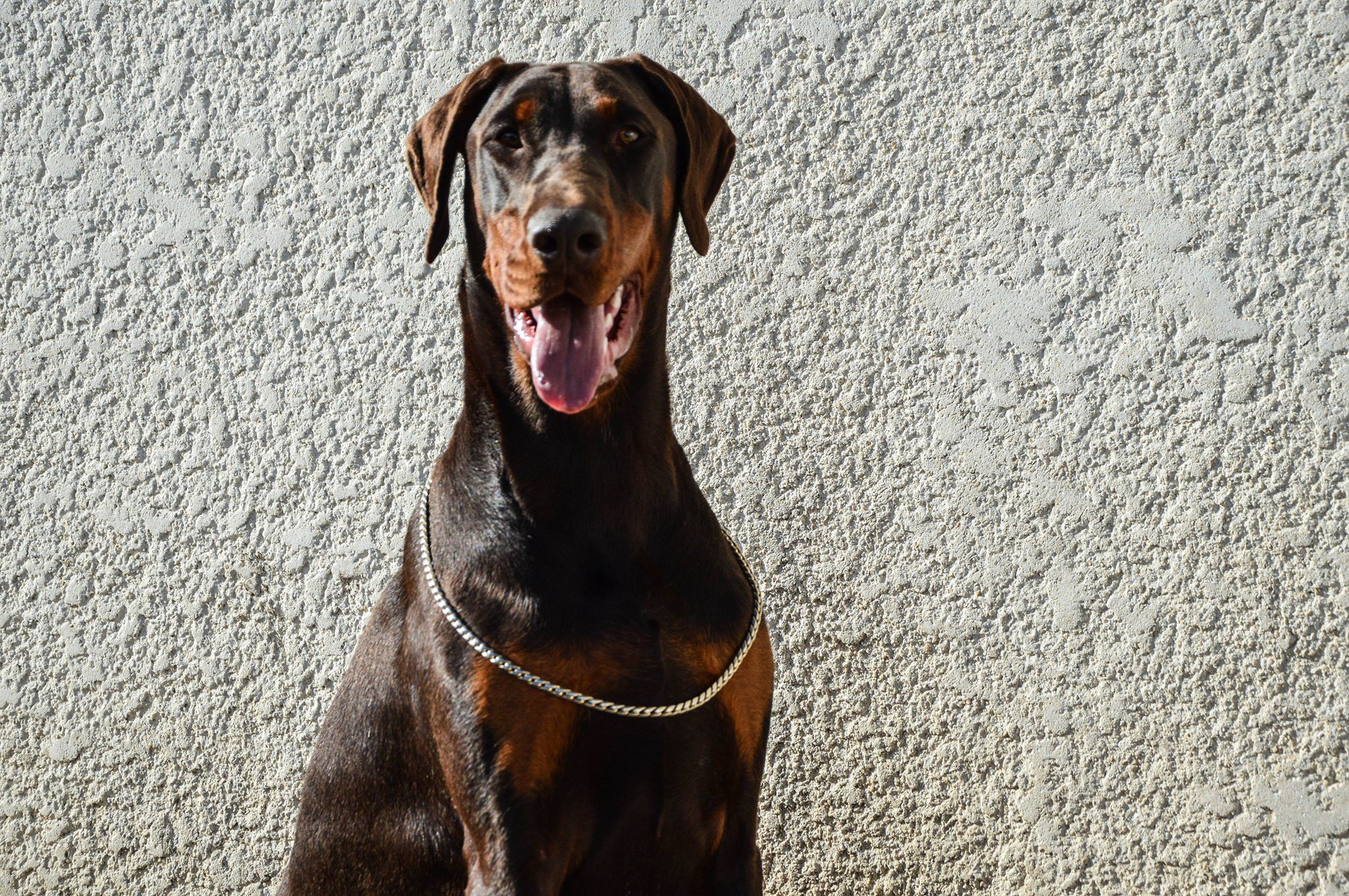 Publication : De Courteval 