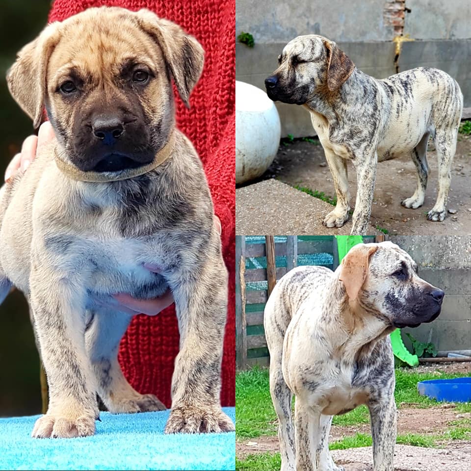 Publication : (Sans Affixe) 