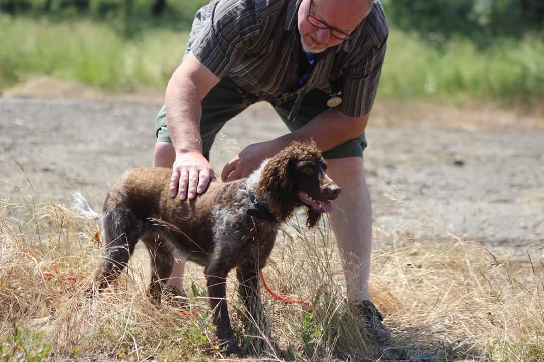 Publication : des Oysel de l'Isengard 