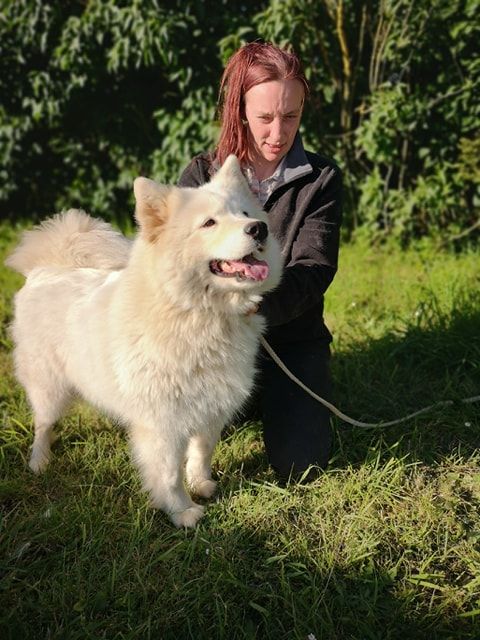 J'imagine d'Héracléopolis