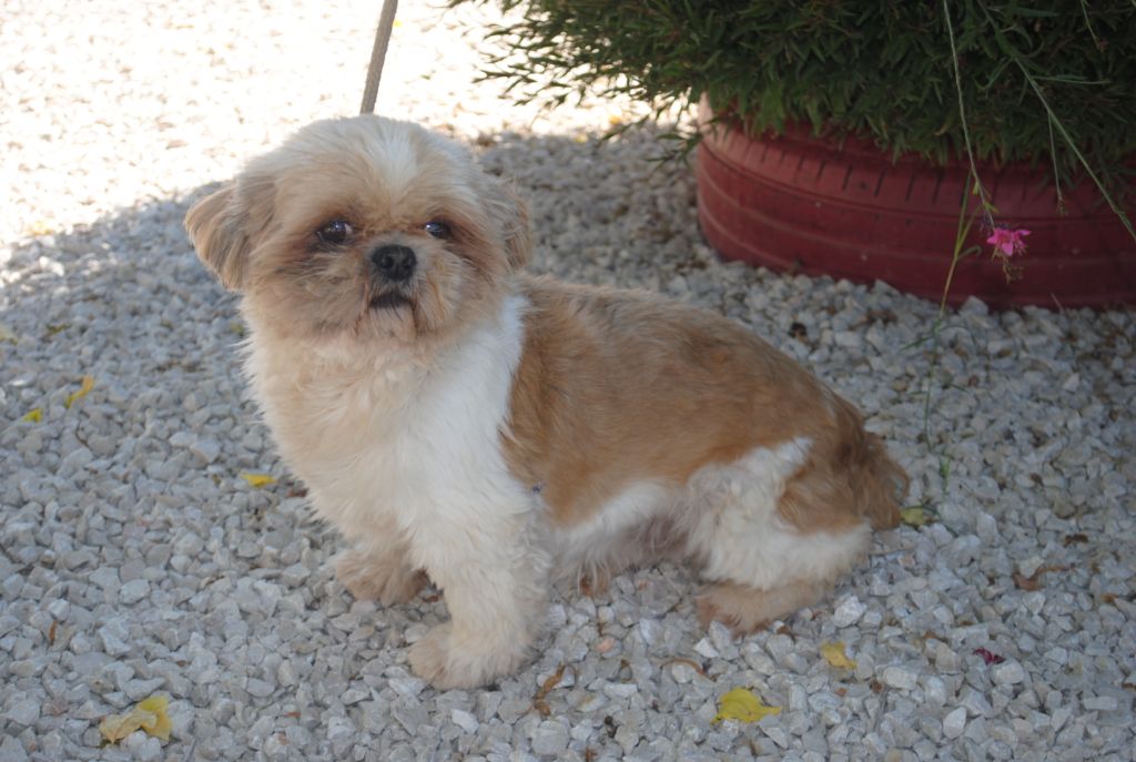 Hecton du Haut Pacquis