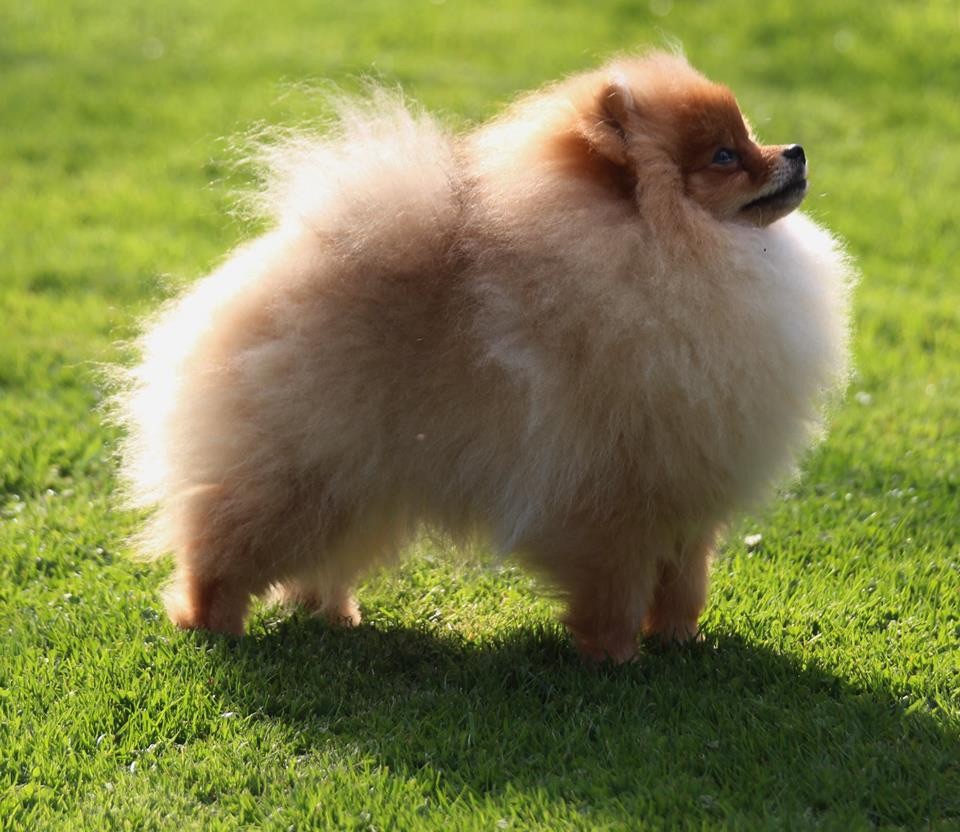 kardashian pom Cherish me i'm lenette